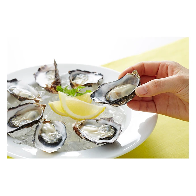 Confirmed Safe Small Size Oyster Seafood Frozen In A Clean Ocean Area