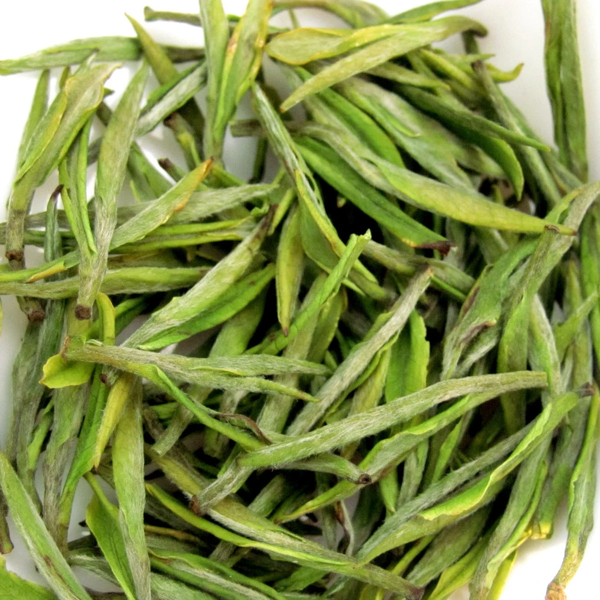 Wholesale Price OEM Package An Ji Bai Cha White Tea Famous Organic Green Tea China Loose Tea
