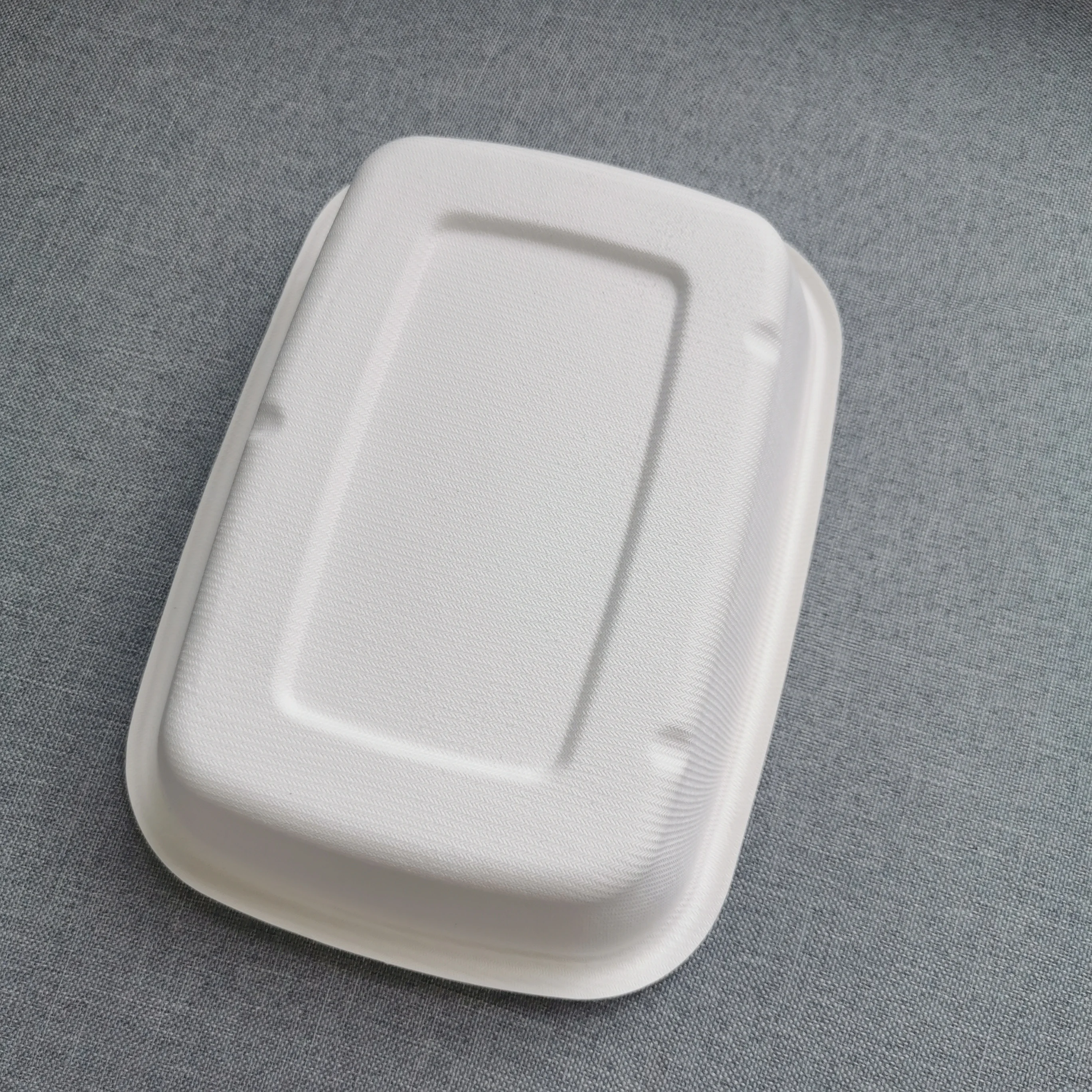 100%Biodegradable Sugarcane Bagasse Disposable Takeaway 8'*6' Food Tray With Lid