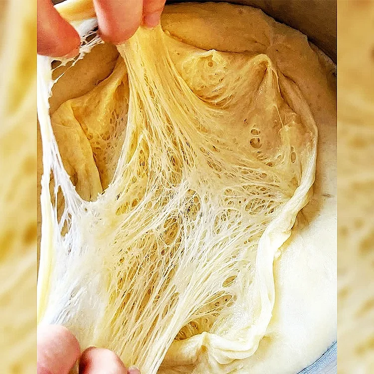 Organic Yeast Products, Enzyme-Active Yeast, High-Temperature Resistant Yeast, Low Sugar Yeast, baking yeast, instant yeast