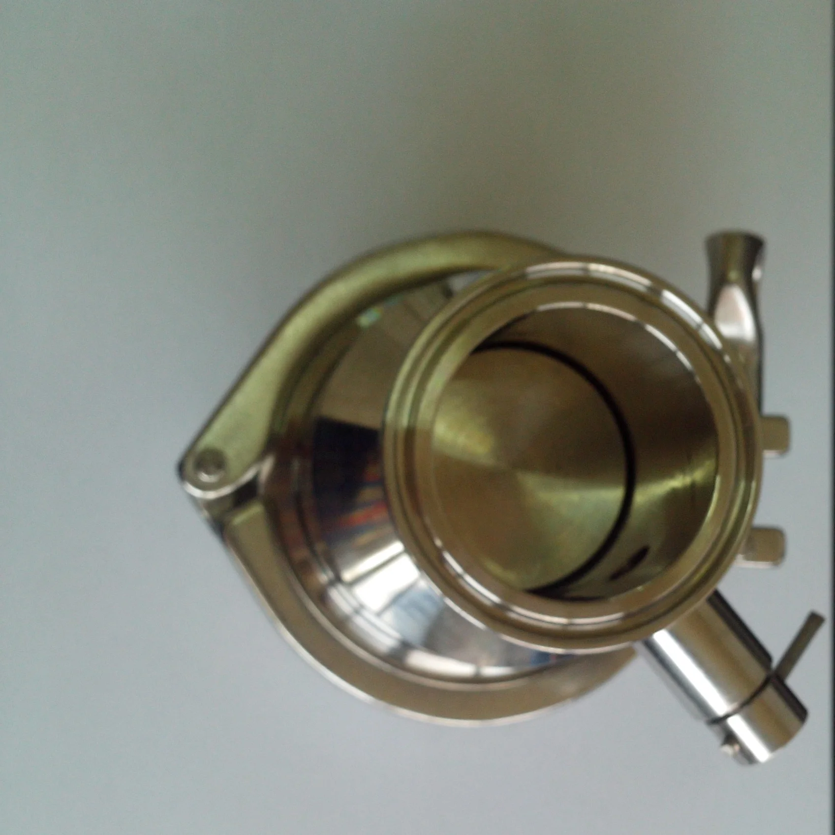 HOT Sale High Performance Sanitary  food  grade Vertical Check Valve/non return valve/NRV