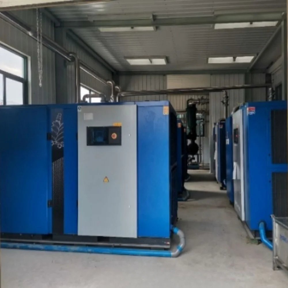 Geological Mine Variable Speed Mini Screw Air Compressor with High Quality