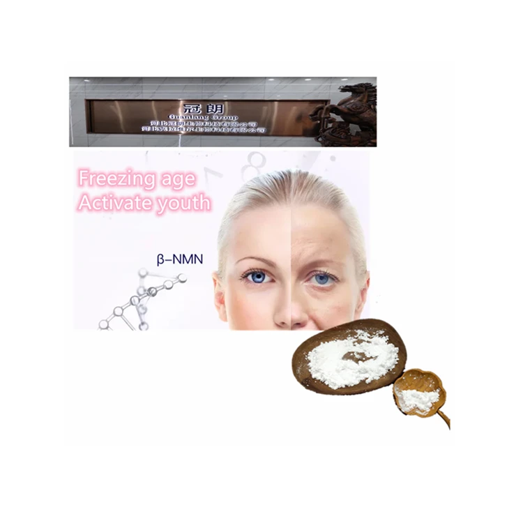 
cas 1094-61-7 Nicotinamide Mononucleotide nmn powder supplements 