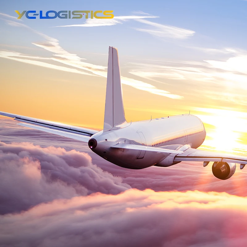 International Shipping & Cargo Agent: Expert Freight Forwarding from China to USA with DDP Services