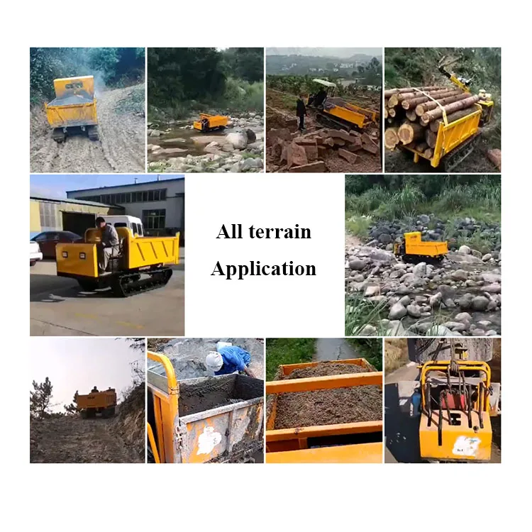  Mini crawler transporter rubber track dumper 500kg 800kg 1000kg 1ton-8ton mini dumperwith lift and crane for
