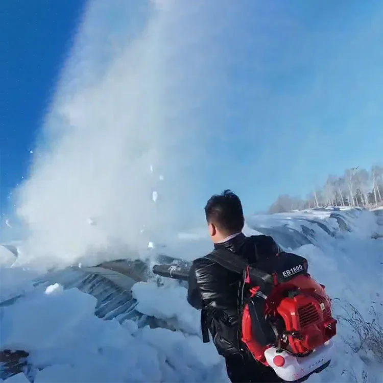 Gainjoys air blower  machine gasoline backpack gasoline leaf blower