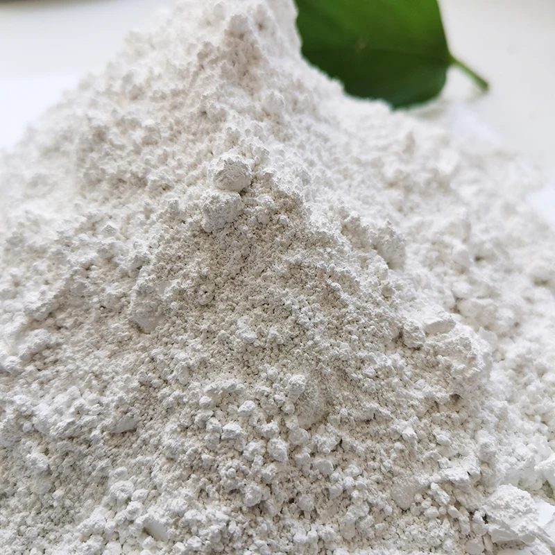 Chinese diatomite food level quality agricultural diatomaceous earth powder diatomite soft black