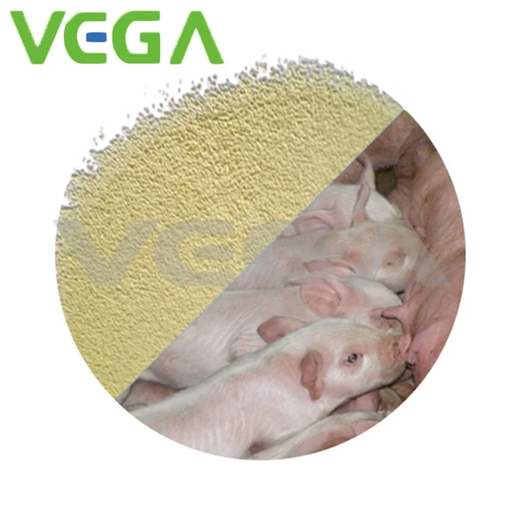 
Chlortetracycline Hcl 20% Aureomycin Chlortetracycline Typhoid and Paratyphoid 