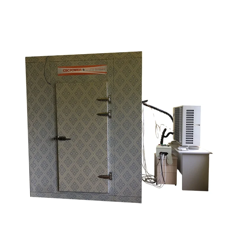 Cold Storage Solar Powered Industrial For Meat Vegetable Fish and Fruit Storage Walk in Freezer Solar Cold Room Freezer