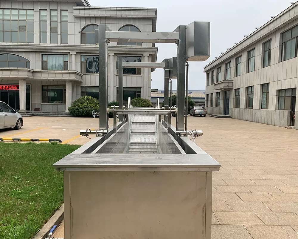 Vegetable Blanching Machine processing line