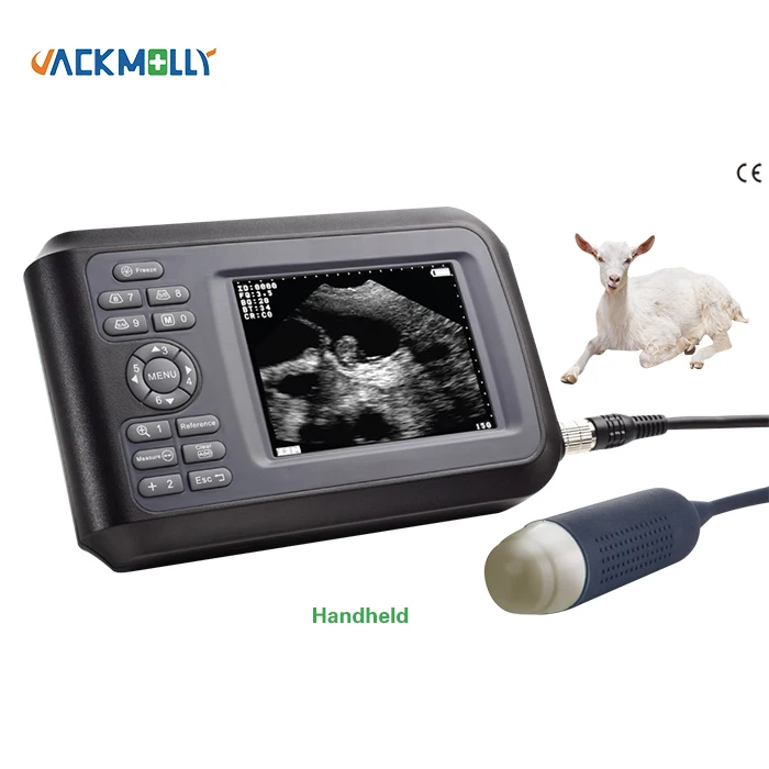 Handscan Cheap Portable Rectal usg probe Vet Veterinary handheld veterinary vet ultrasound for pig sheep cattle goat