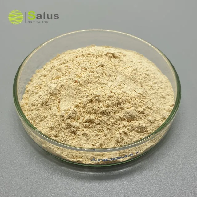 Organic Brown Rice Protein Powder