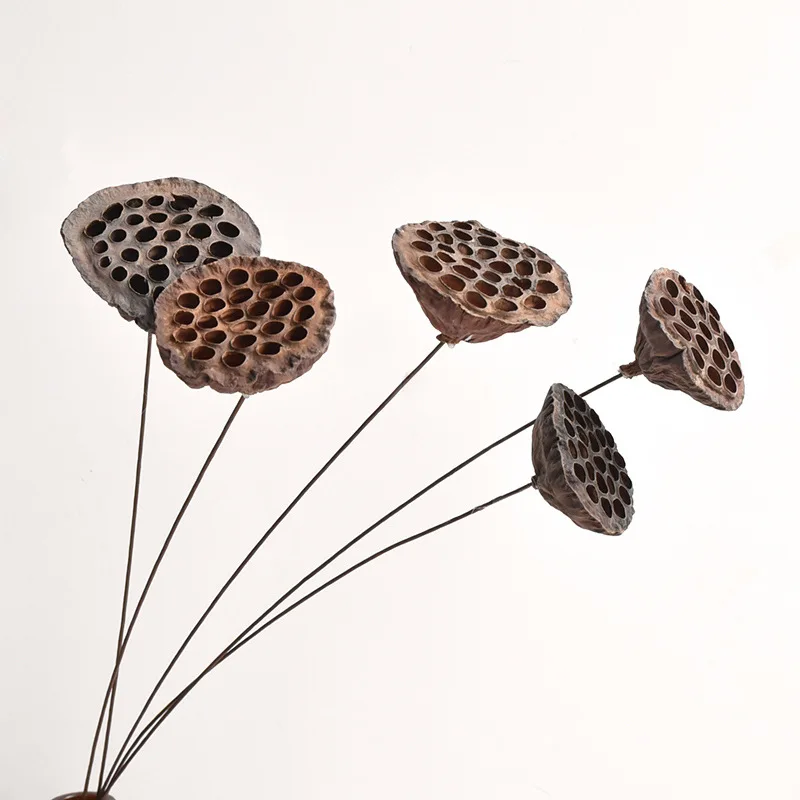 2022 most popular real natural dried seedpod of the lotus for dry Christmas decoration