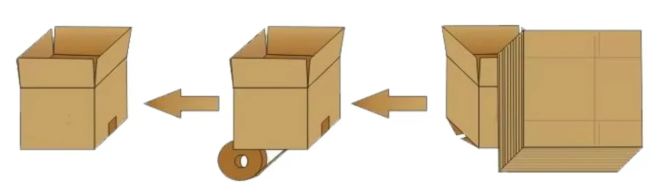 Automatic Carton Case Erector Machine Carton Erecting Machine Fully Automatic Box Case Erector