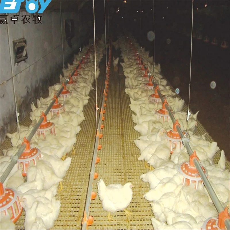 Новое дизайнерское автоматическое оборудование для кормления цыплят