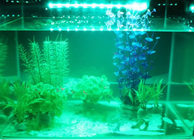 Fish Tank and Aquatic Plant Backlight Illuminated Background LED Aquarium Light