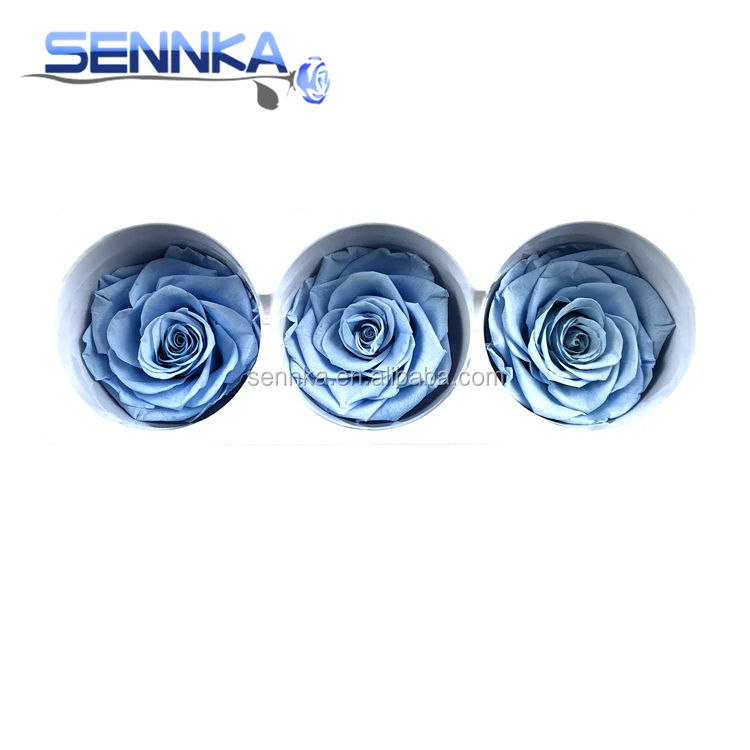 Preserved Real Flowers Natural Fresh Rose head