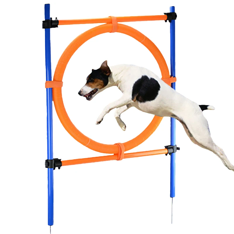 Dog Agility Training Equipment Hurdle Pet Dogs Outdoor Games Agility Exercise Training Adjustable Height Jumping Ring