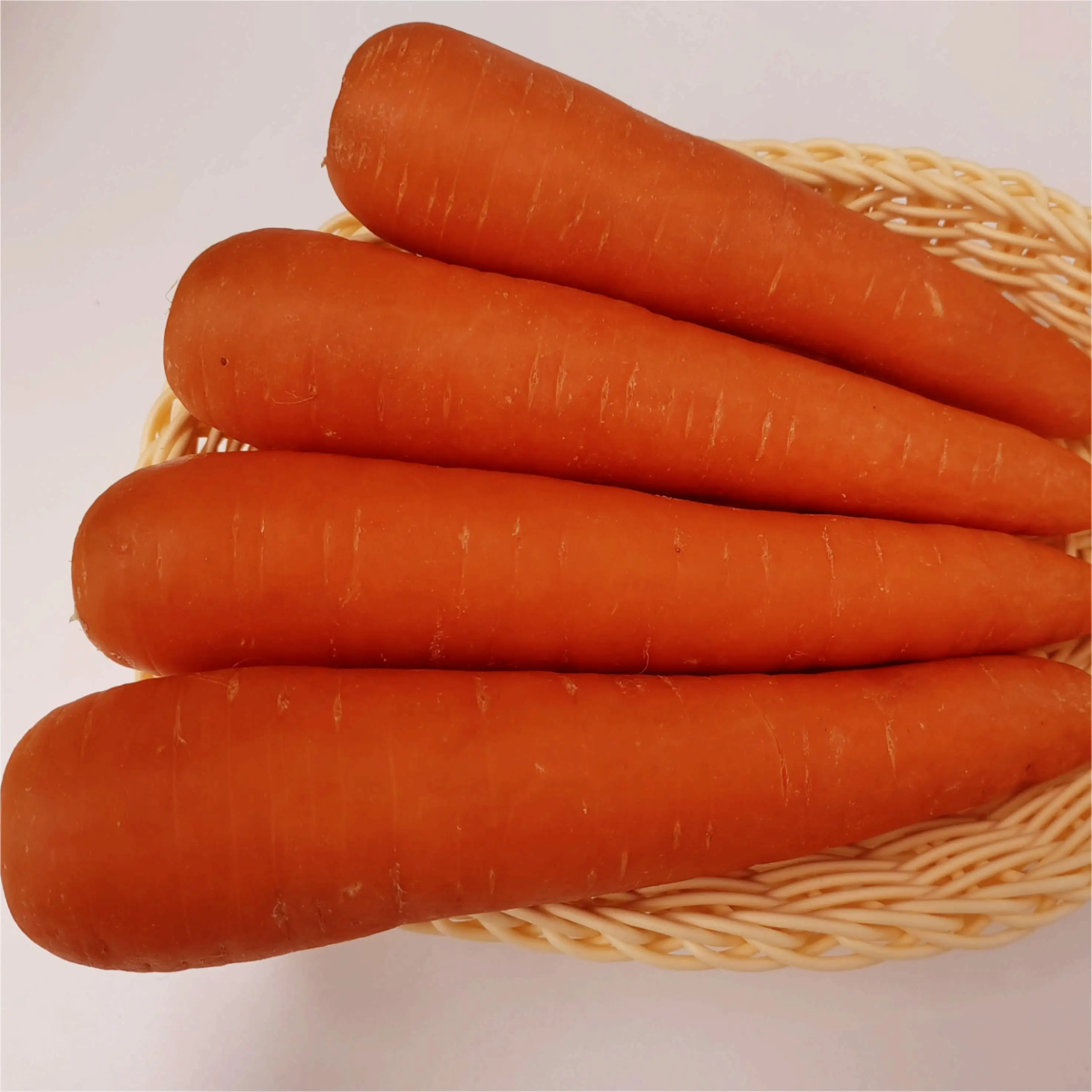 Fresh carrots big size, cheap price, bright color, delicious taste