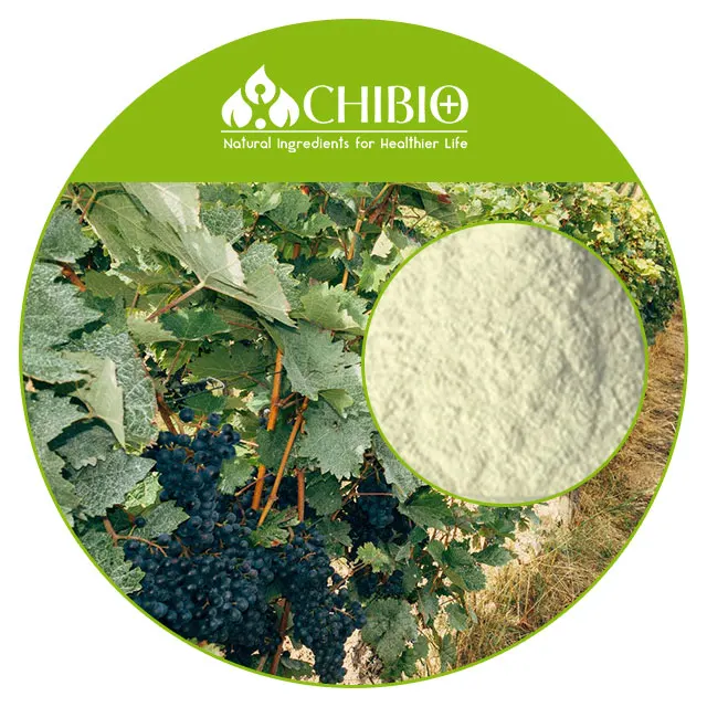 ISO Certificate Food Grade Factory supply Aspergillus niger Chitosan Powder for grape juice making
