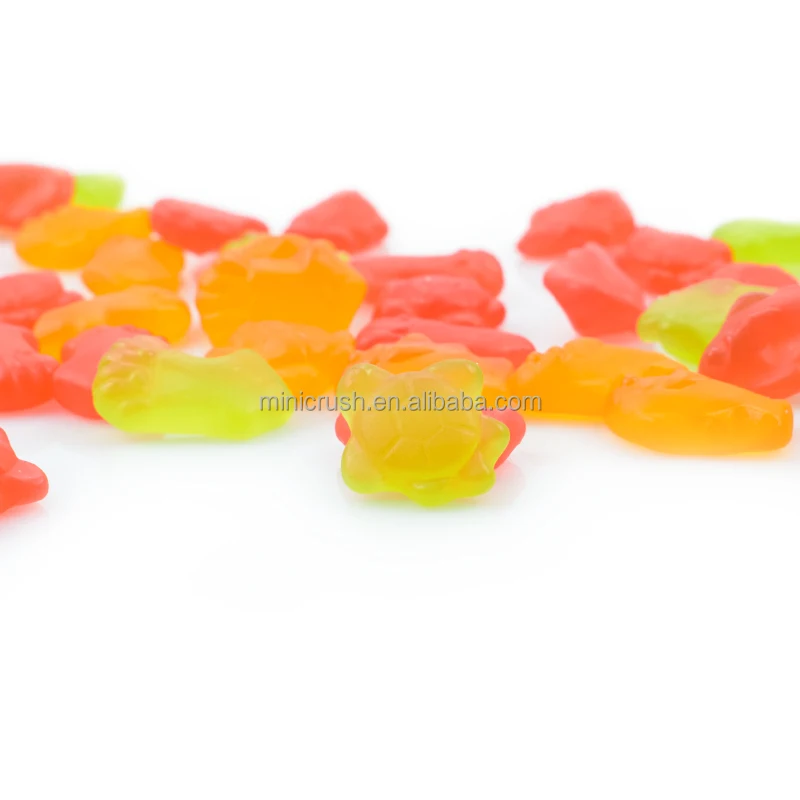 Fish Shape gummy candies manufacturers wholesale chewy candy fruit toy gummy candy