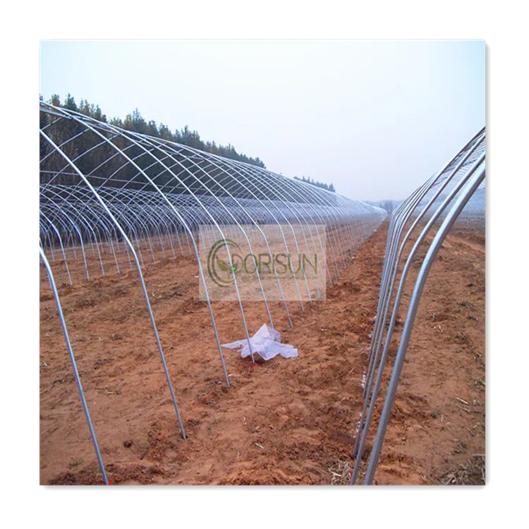 Co2 Controller Erogator Hydroponics System Indoor Drop Irrigation Greenhouse for Meaty Plant