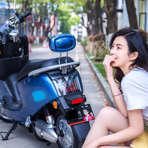 mother and son passenger bicycles with electric motor two seats fat tire electric city bicycle bike