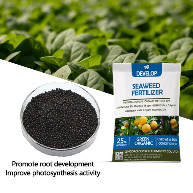 New product hot selling agricultural organic seaweed granular fertilizer