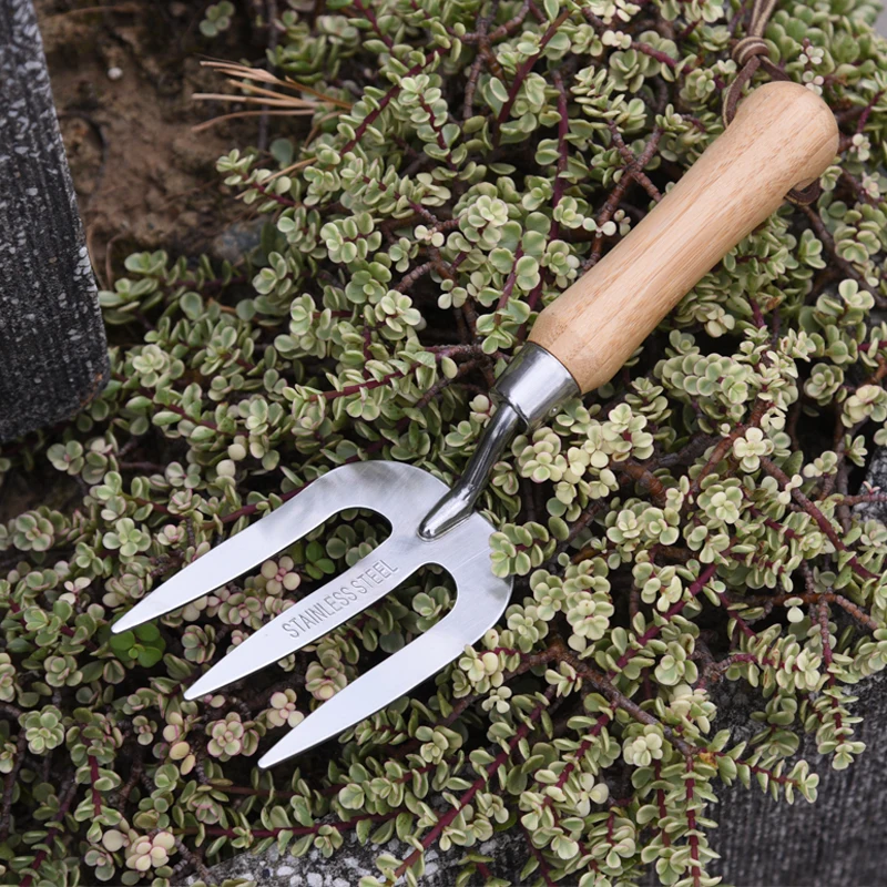 Plant Care Garden Tool, Stainless Steel Head BamBoo Handle Digging Garden Hand Fork For Gardening/