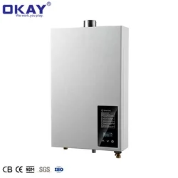 Domestic Special Thermostat 17L Gas Geyser 12v marine water heater hot water gas hot water heaters GAS WALL HEATER
