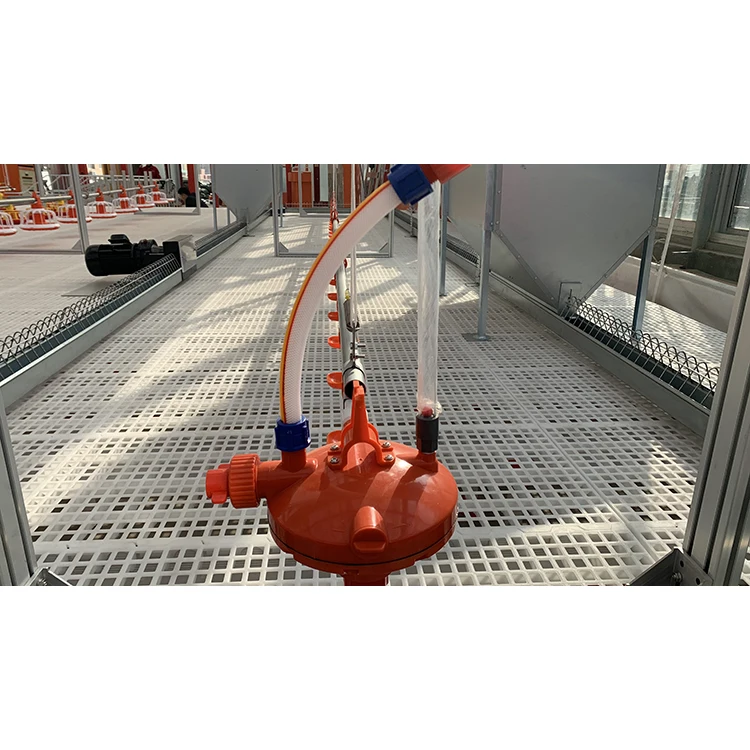 pengda Hot Sell Automatic chicken Poultry Broiler drinking line equipment system