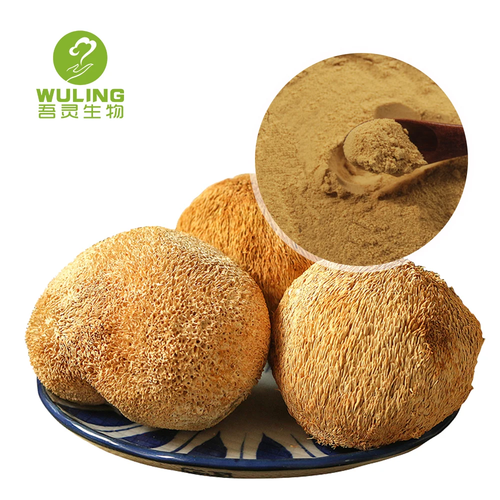 Диетическая добавка, 100% растворимый в воде порошок гривы льва, порошок гриба, экстракт травы обыкновенной, пищевые добавки, 100 сетка