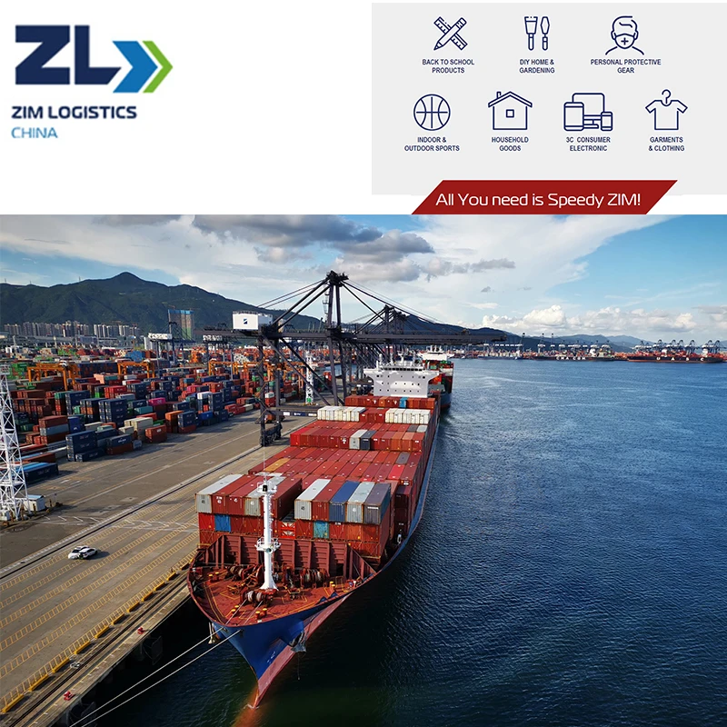 ZIM Профессиональный дешевый груз FCL Fba морской фрахт из Китая в Джексонвилл FL