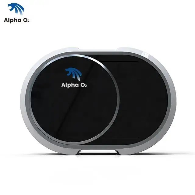 Portable Hyperbaric Oxygen Chamber Manufacturer Home Use HBOT Chamber Hyperbaric Oxygen Therapy Tent Chamber For Home