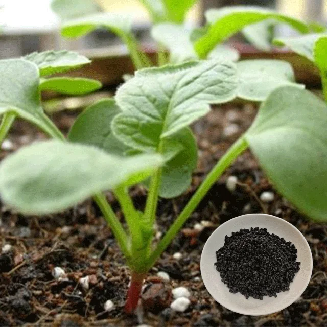 China Ningxia Humate fertilizer compound line agricultural fertilizer humic acid npk granular fertilizer