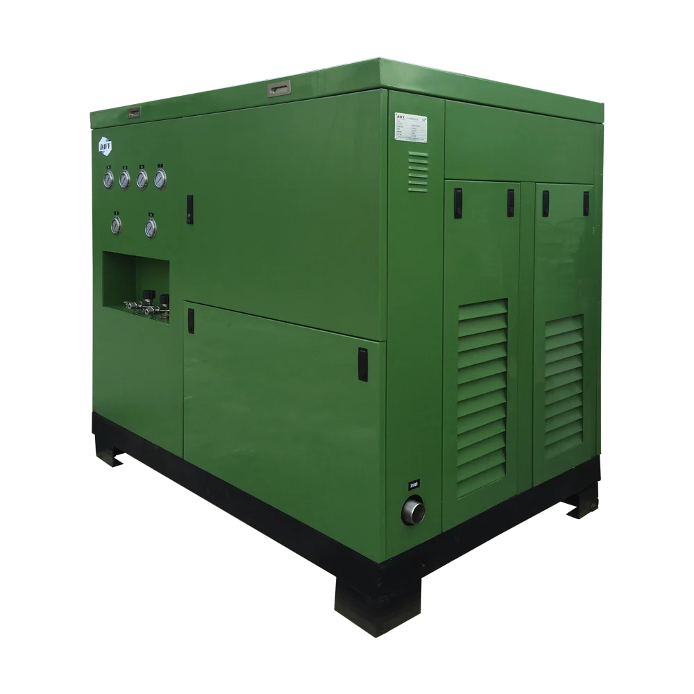  5m 3/h домашний Cng Компрессор для