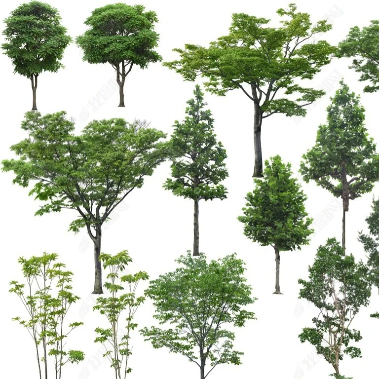 Professional 3D Architectural Model Rendering Tree Materials for Photoshop