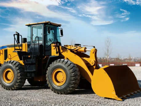 High Quality 6 ton Side Dump Loader Hot Sale Model SEM660D with Imported Spare Parts and Good Price for Sale