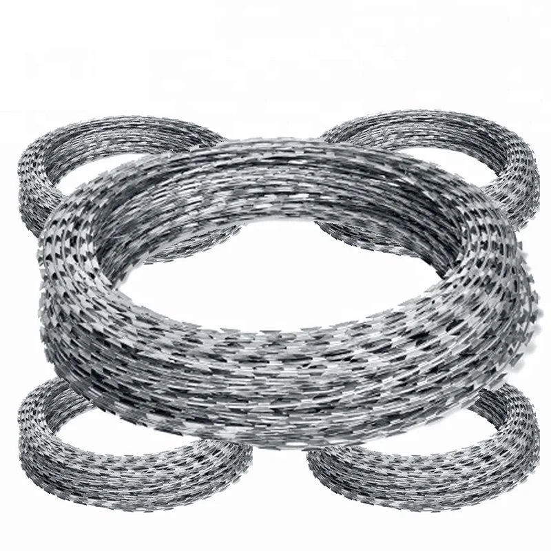 Популярная бритвенная проволока 2022 по всему миру/оцинкованная