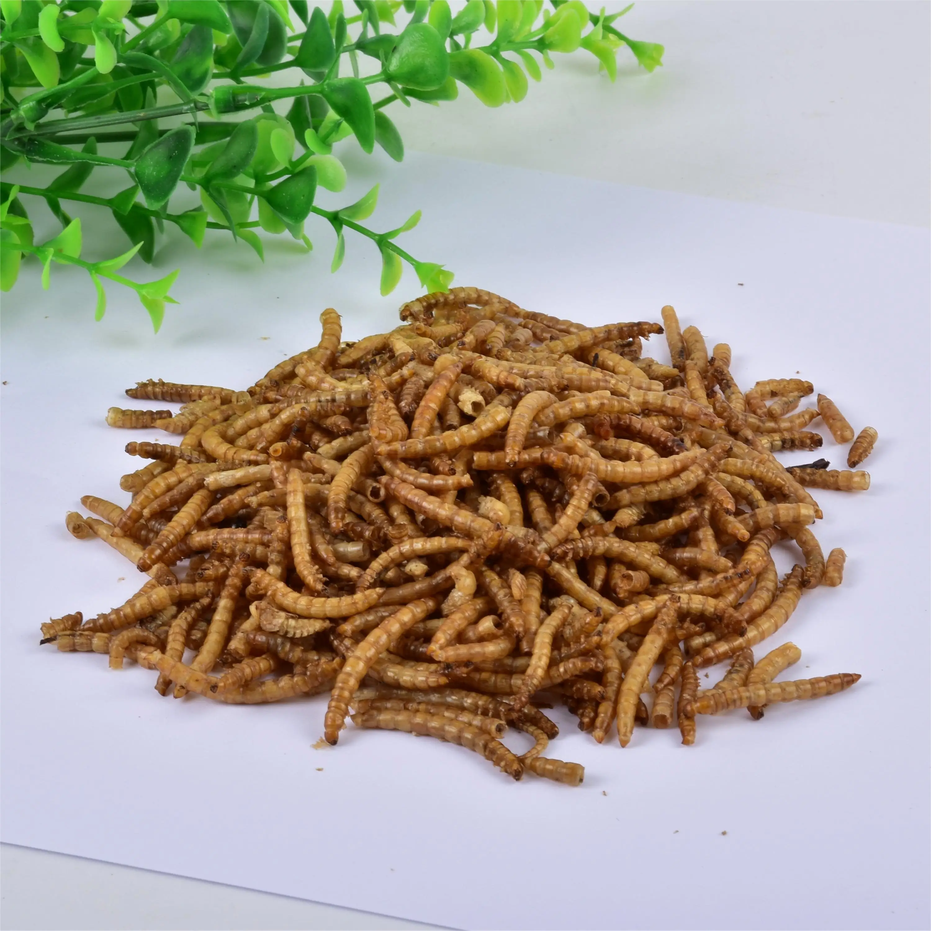 100% Non Gmo Natural Dried Mealworms For Chickens Wild Birds Ect Promote Healthy Growth