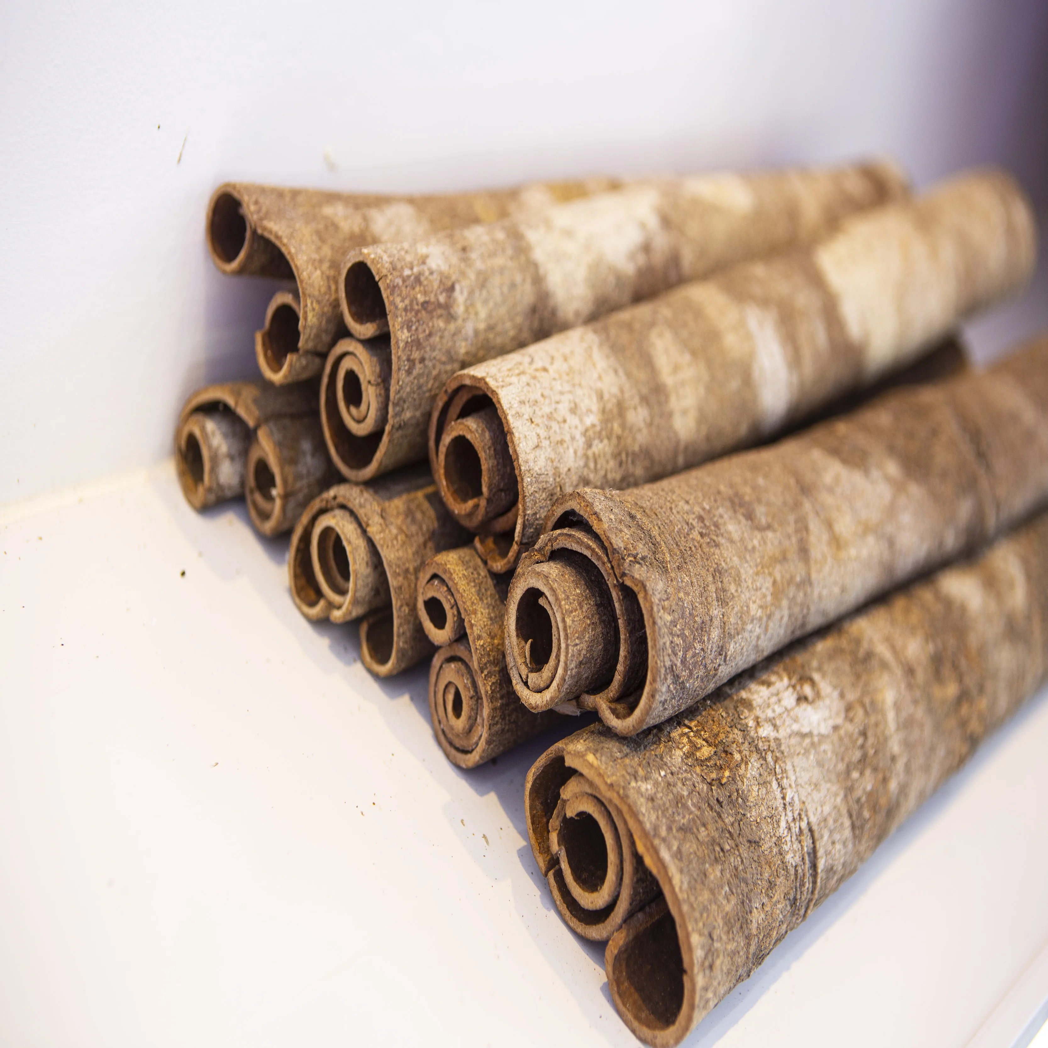 HIGH GOOD QUALITY CINNAMON /CASSIA STICKS from FACTORY