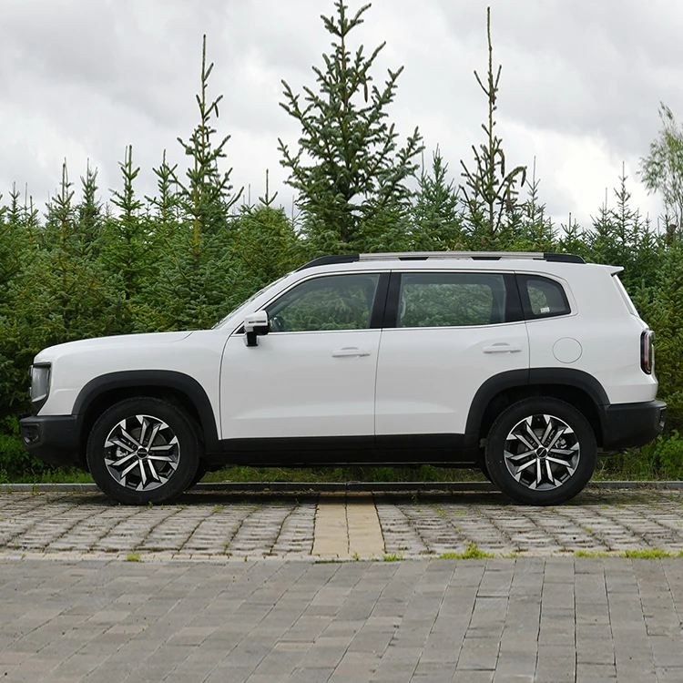 Haval большой грузовик для собак 2 0 т полноприводный свет салона с кожаными сиденьями ручной редуктор автоматический бензиновый привод dargo