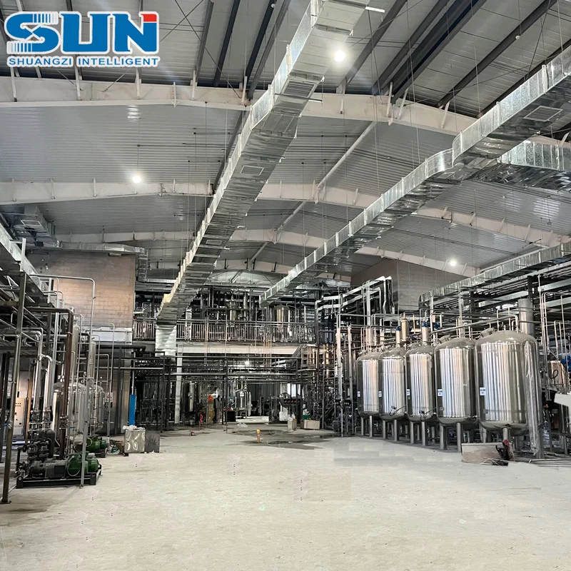 Sesame Protein Extraction/Purification/Concentration Equipment