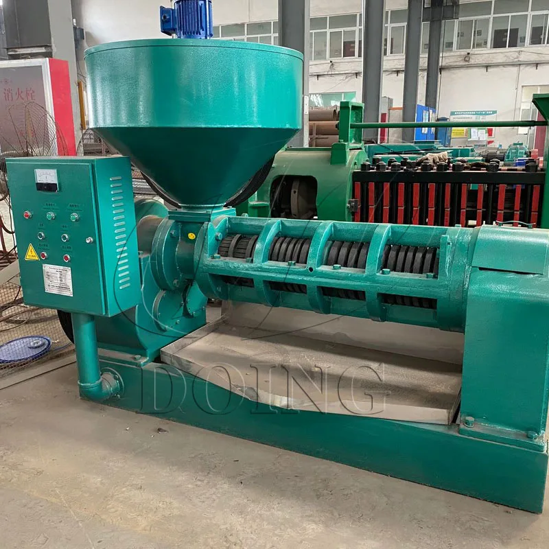 Small scale palm kernel oil processing machine for palm kernel oil factory price stainless steel produced for Equatorial Guinea