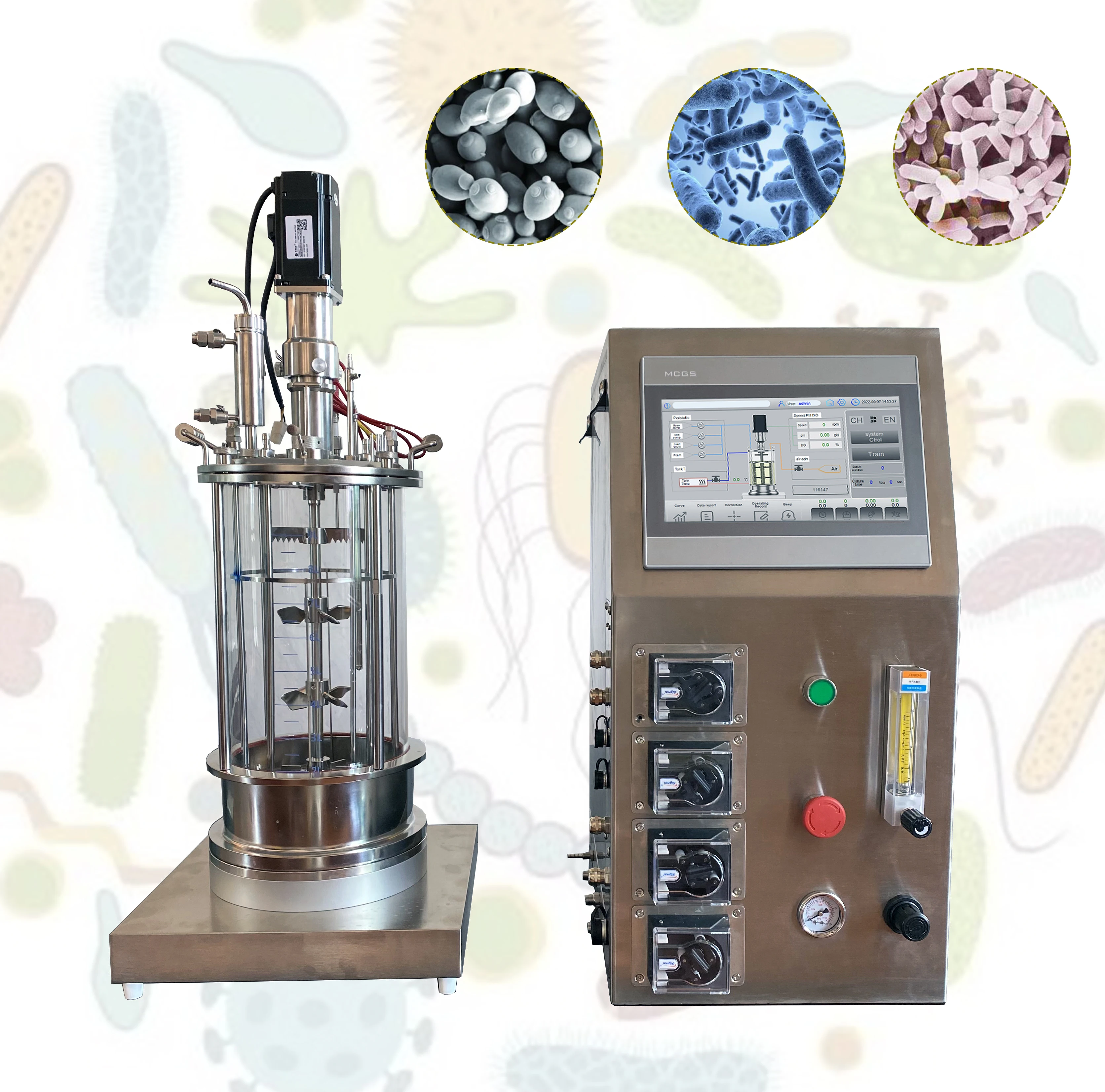 Ruiyuan Benchtop Small Glass Lab 5l 10l Microbiology Photo Plant Cell Bacterial Fermentor Fermenter Bioreactor