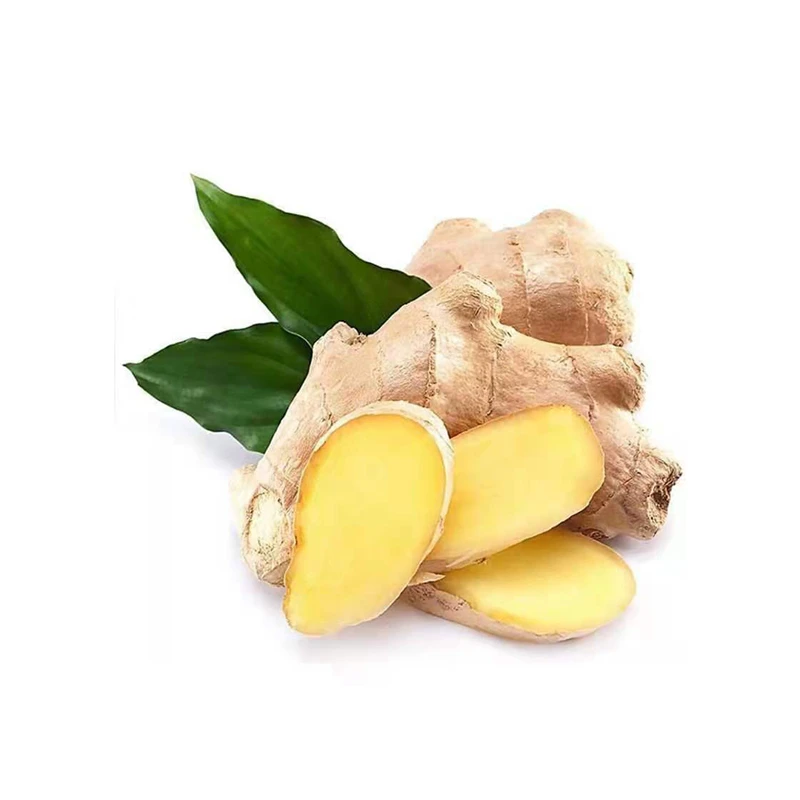 Good Quality Plump Clean Yellow Color Chinese Fresh Ginger Seeds