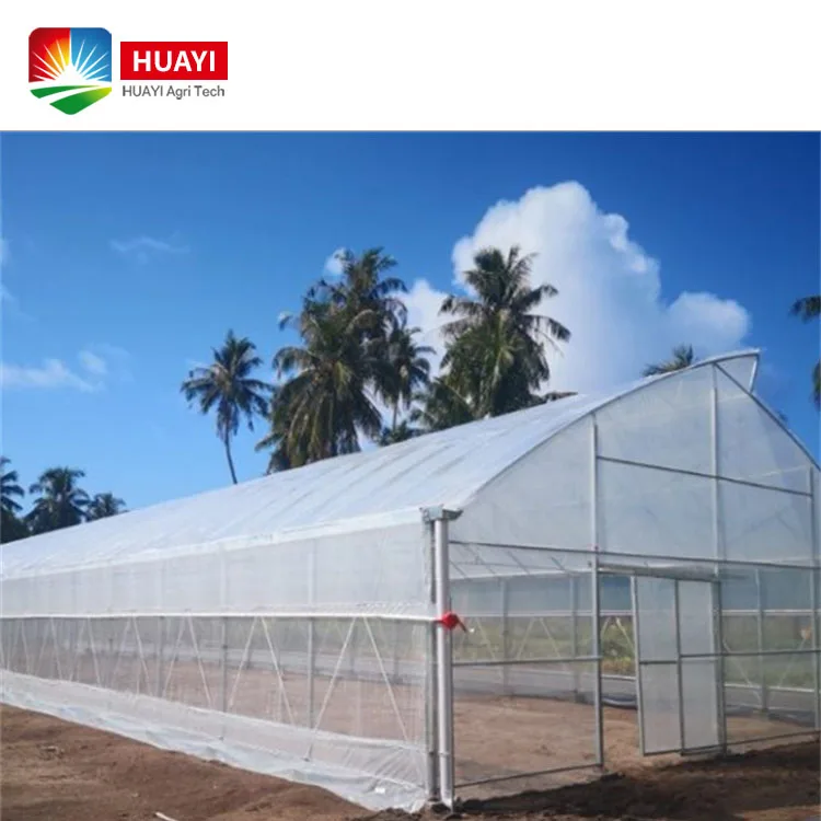 High Strength Agricultural Poly Tunnel Green House Tropical/Tomato Greenhouse For Sale