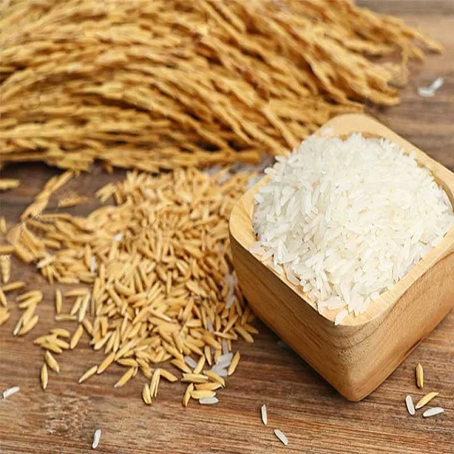 Food-grade pure natural high-quality grains and nutritious food-grade 1kg bag of Lao organic jasmine rice