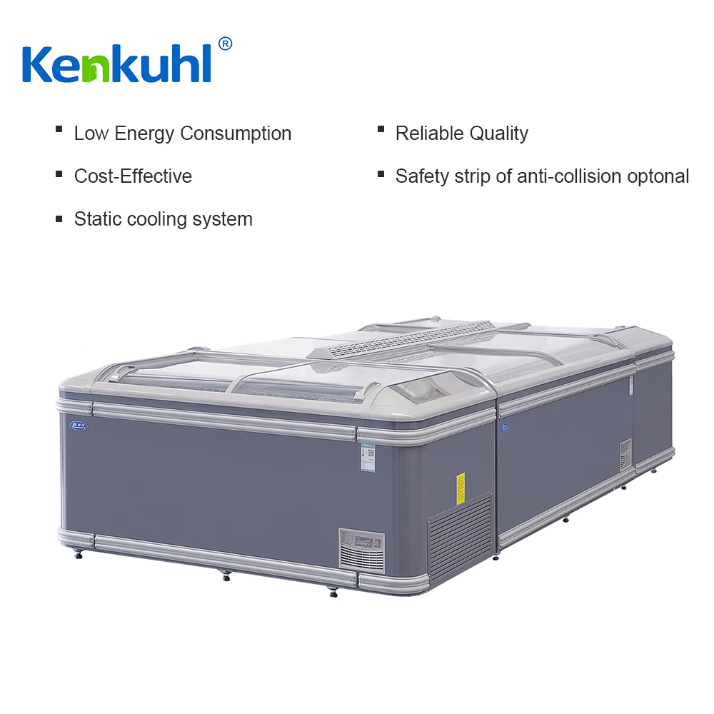 ZP21 Island Freezer - Asia Style Refrigeration Solution for Grocery Stores