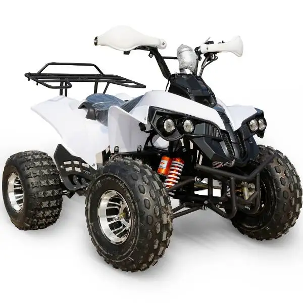4 wheeler 48 В охотничий квадроцикл 1000 Вт Quad ATV 1200 Электрический для взрослых